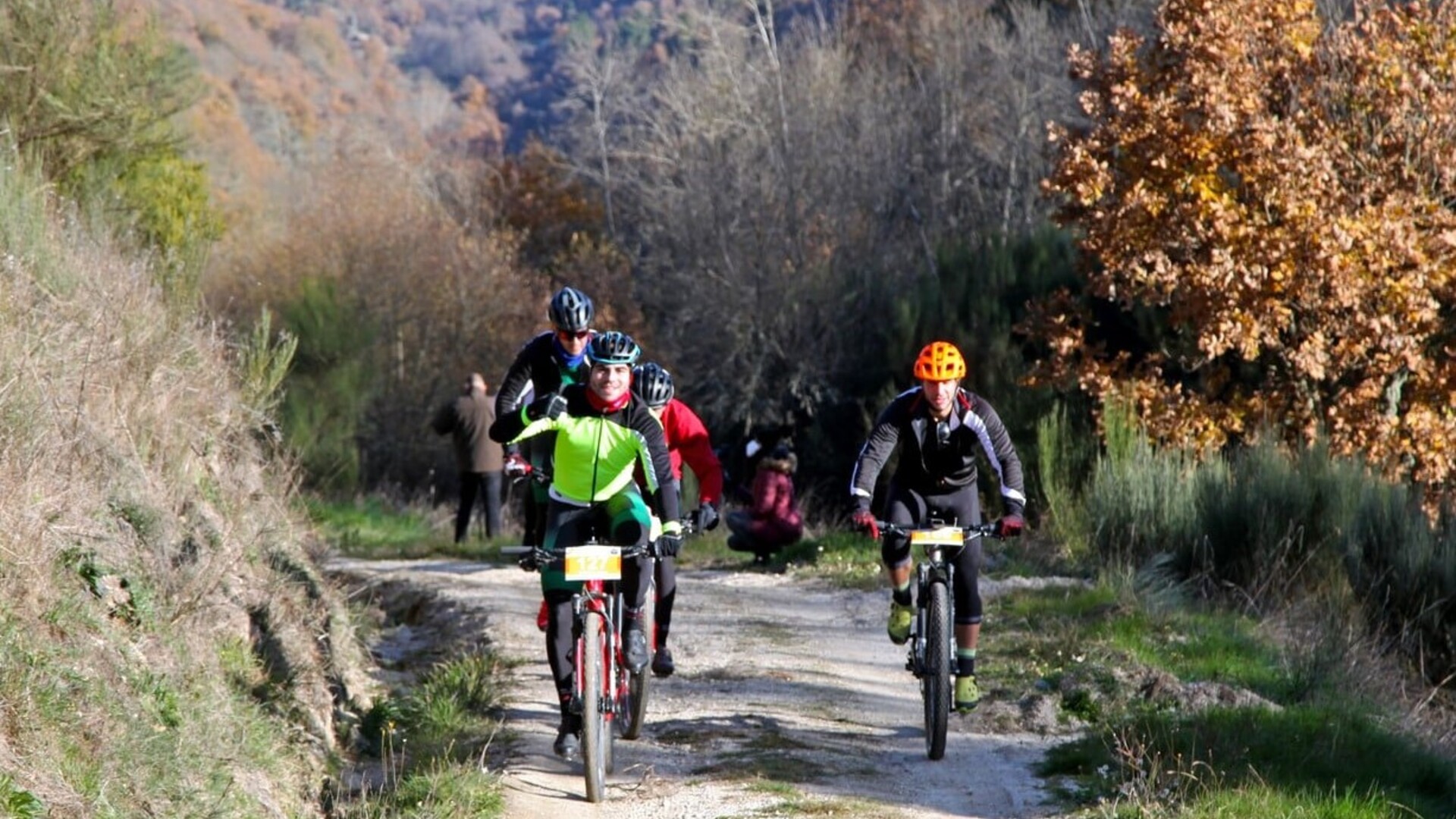 cycling 1;